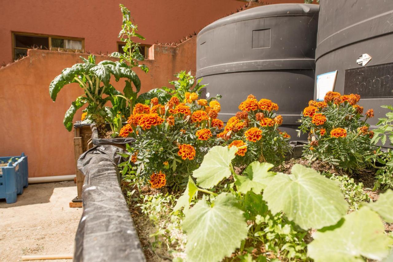 Casa Estrella De La Valenciana Hotel Boutique Guanajuato Esterno foto